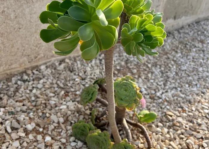 Lara - Mit Separatem Extra Mit Wc Und Dusche